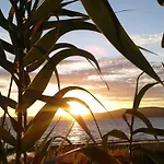 Camping Smeraldo Trevignano Romano