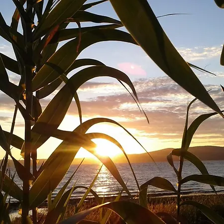 Camping Smeraldo Trevignano Romano