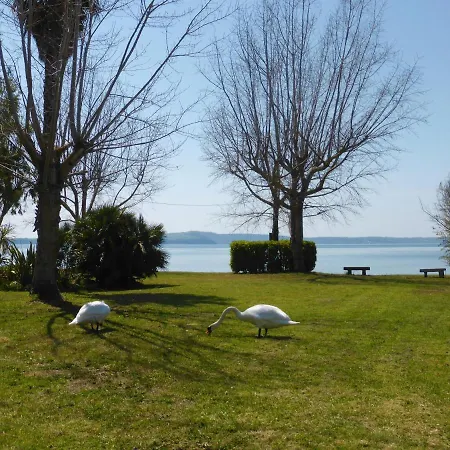 Campsite Camping Smeraldo Trevignano Romano