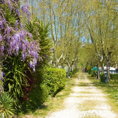 Camping Smeraldo * Trevignano Romano
